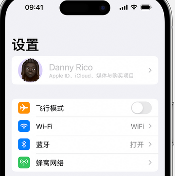 仓山appleID维修服务iPhone设置中Apple ID显示为灰色无法使用