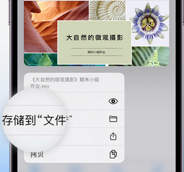 仓山apple维修中心分享iPhone文件应用中存储和找到下载文件