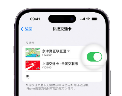 仓山apple维修点分享iPhone上更换Apple Pay快捷交通卡手绘卡面 