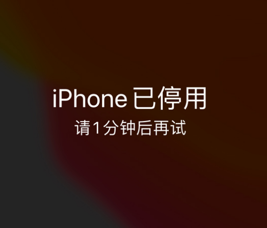 仓山苹果手机维修分享:iPhone 显示“不可用”或“已停用”怎么办？还能保留数据吗？ 