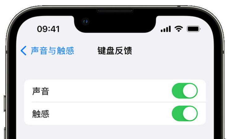 仓山苹果手机维修分享iPhone 14触感键盘使用方法 