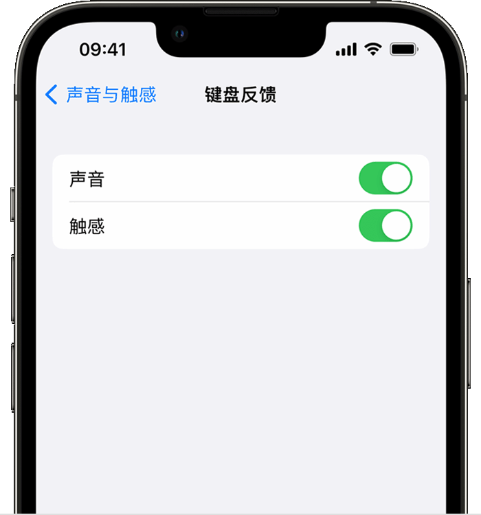 仓山苹果14维修店分享如何在 iPhone 14 机型中使用触感键盘 