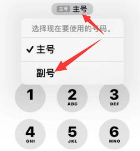 仓山苹果14维修店分享iPhone 14 Pro Max使用副卡打电话的方法 