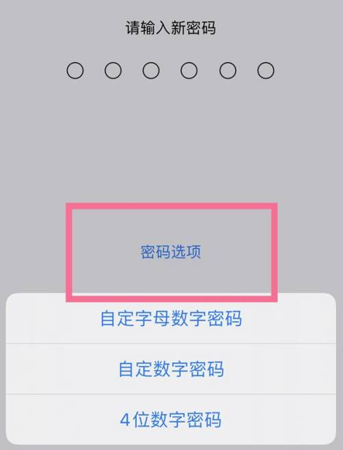 仓山苹果14维修分享iPhone 14plus设置密码的方法 