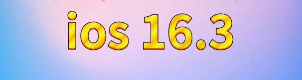 仓山苹果服务网点分享苹果iOS16.3升级反馈汇总 