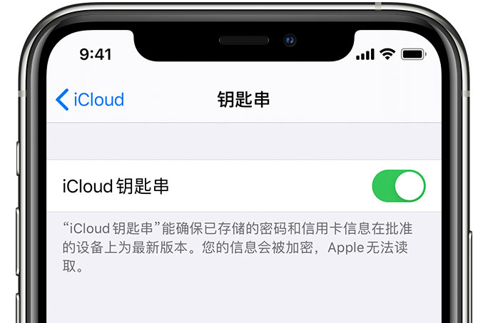 仓山苹果手机维修分享在 iPhone 上开启 iCloud 钥匙串之后会储存哪些信息 