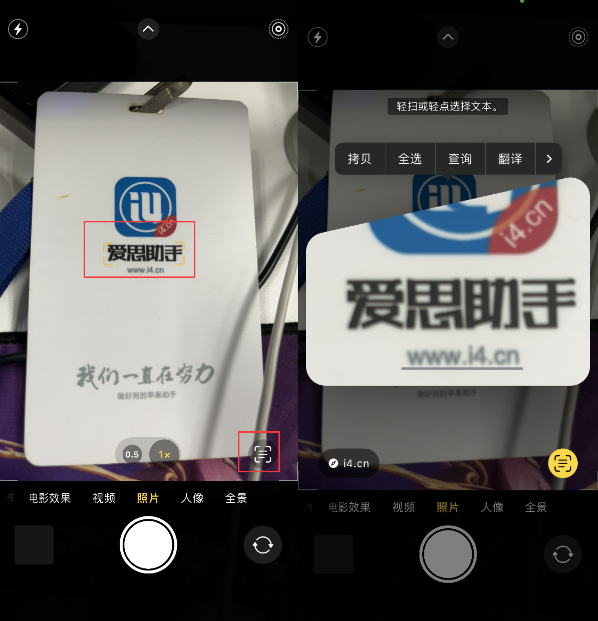 仓山苹果手机维修分享升级iOS 16后如何通过相机翻译文本 