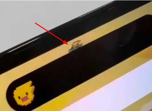 仓山苹果14维修分享iPhone 14 Pro Max灵动岛怎么养宠物 