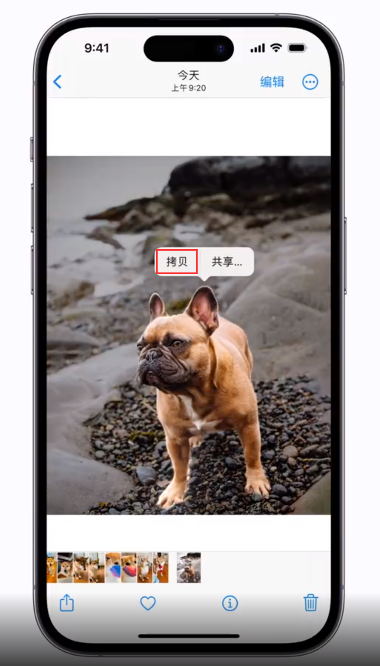 仓山苹果手机维修分享 iOS 16 自带一键抠图功能 