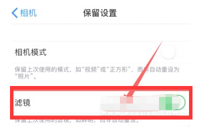 仓山苹果13维修分享iPhone13拍照有绿点是怎么回事 