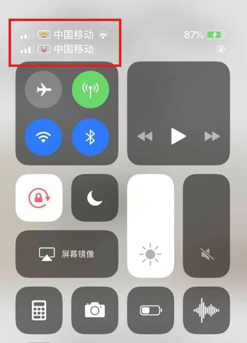 仓山苹果手机维修分享为 iPhone 12 双卡设置标签 